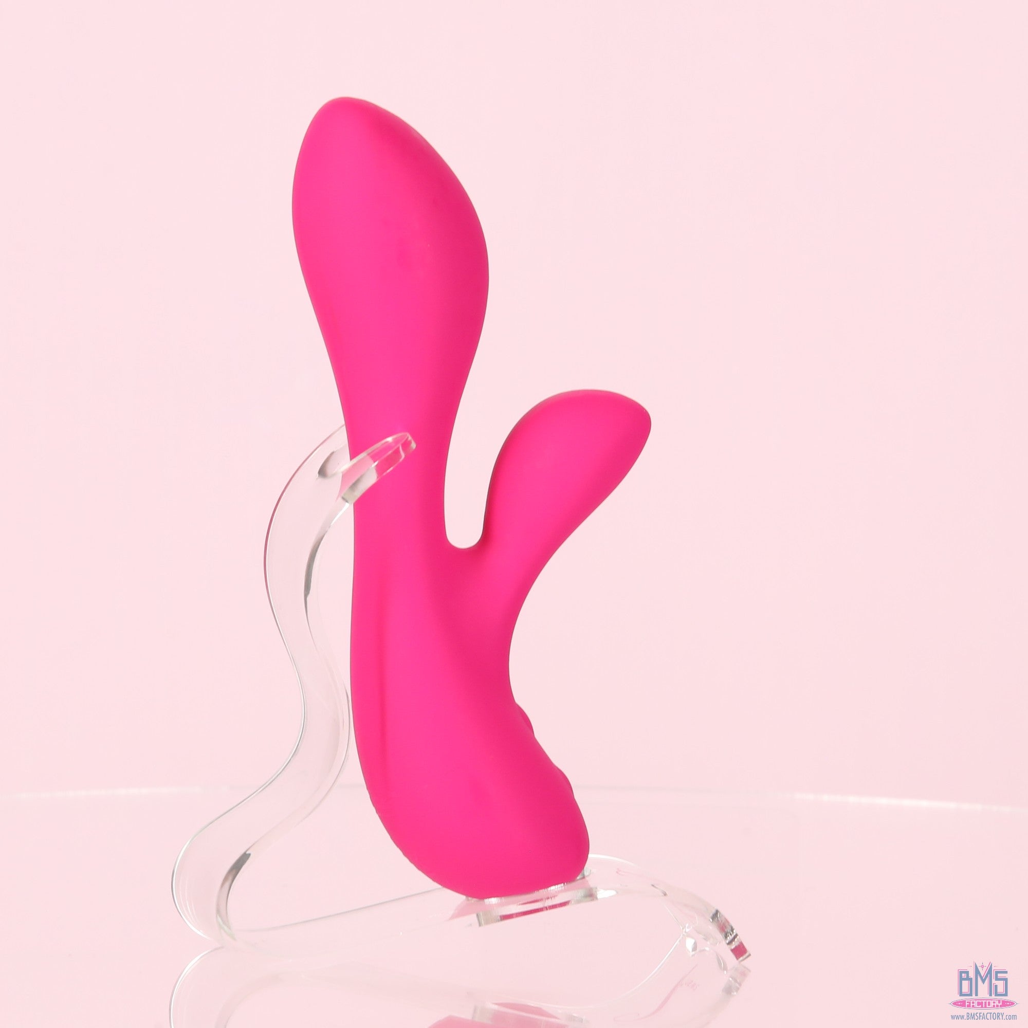 The Silver Swan - Swan Vibes