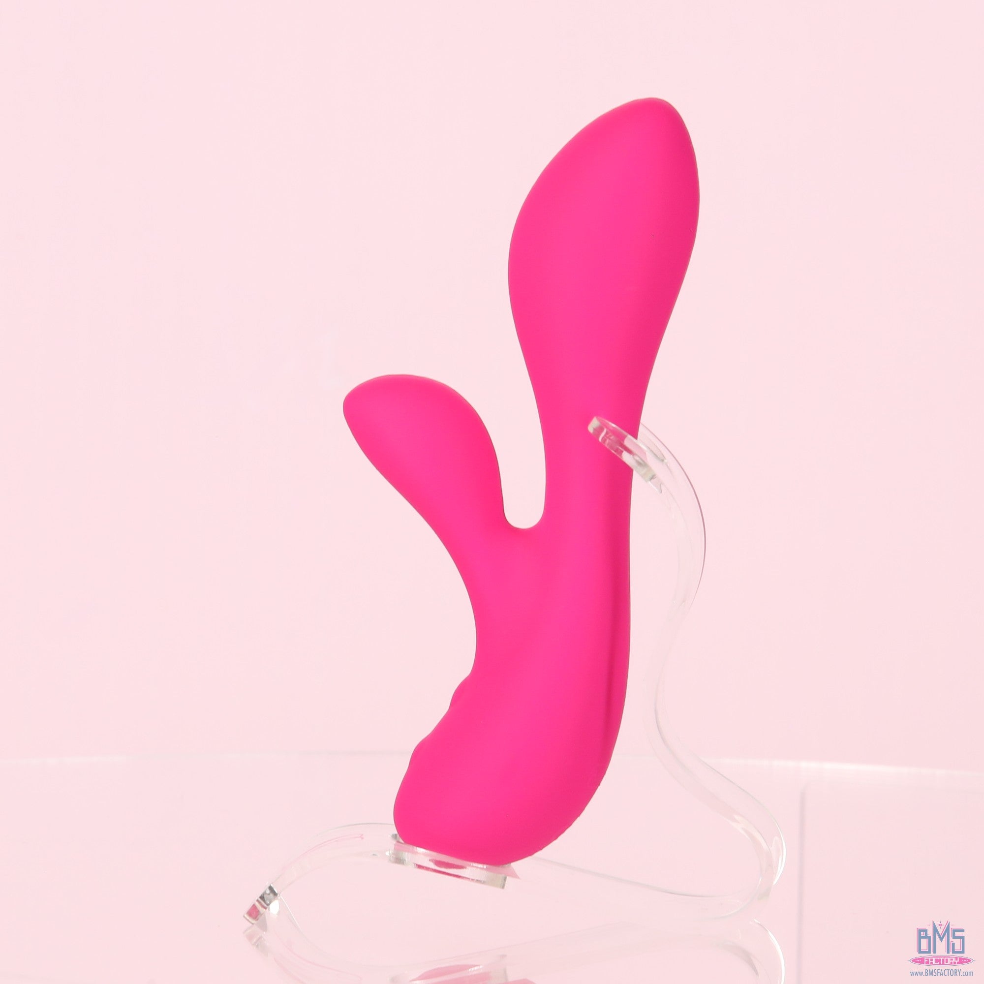 The Silver Swan - Swan Vibes