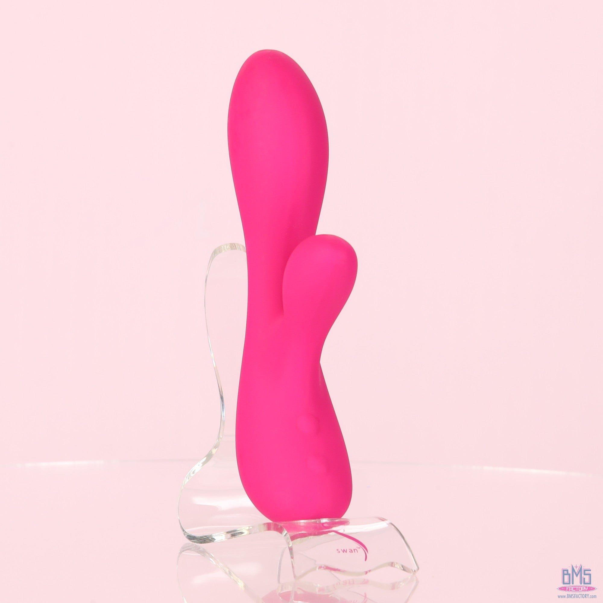 The Silver Swan - Swan Vibes