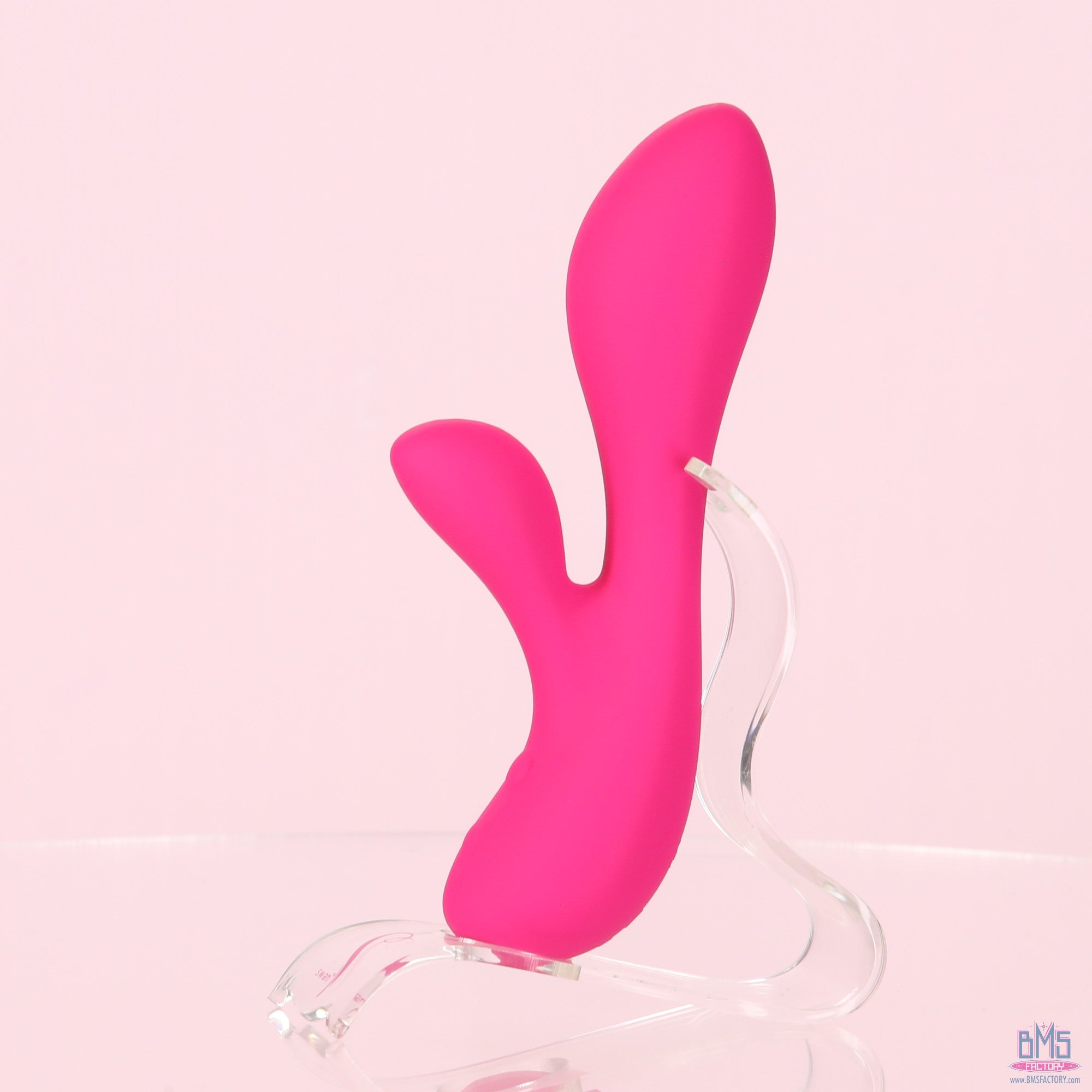 The Silver Swan - Swan Vibes