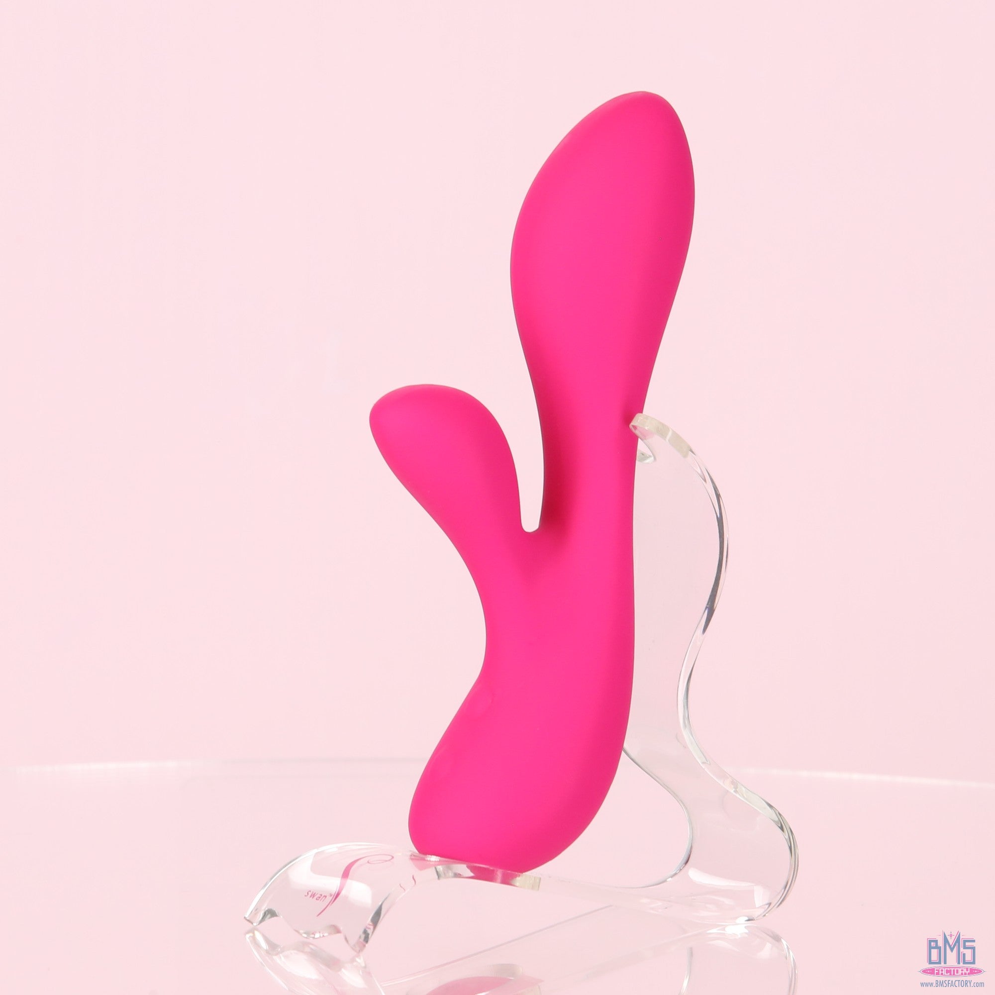 The Silver Swan - Swan Vibes