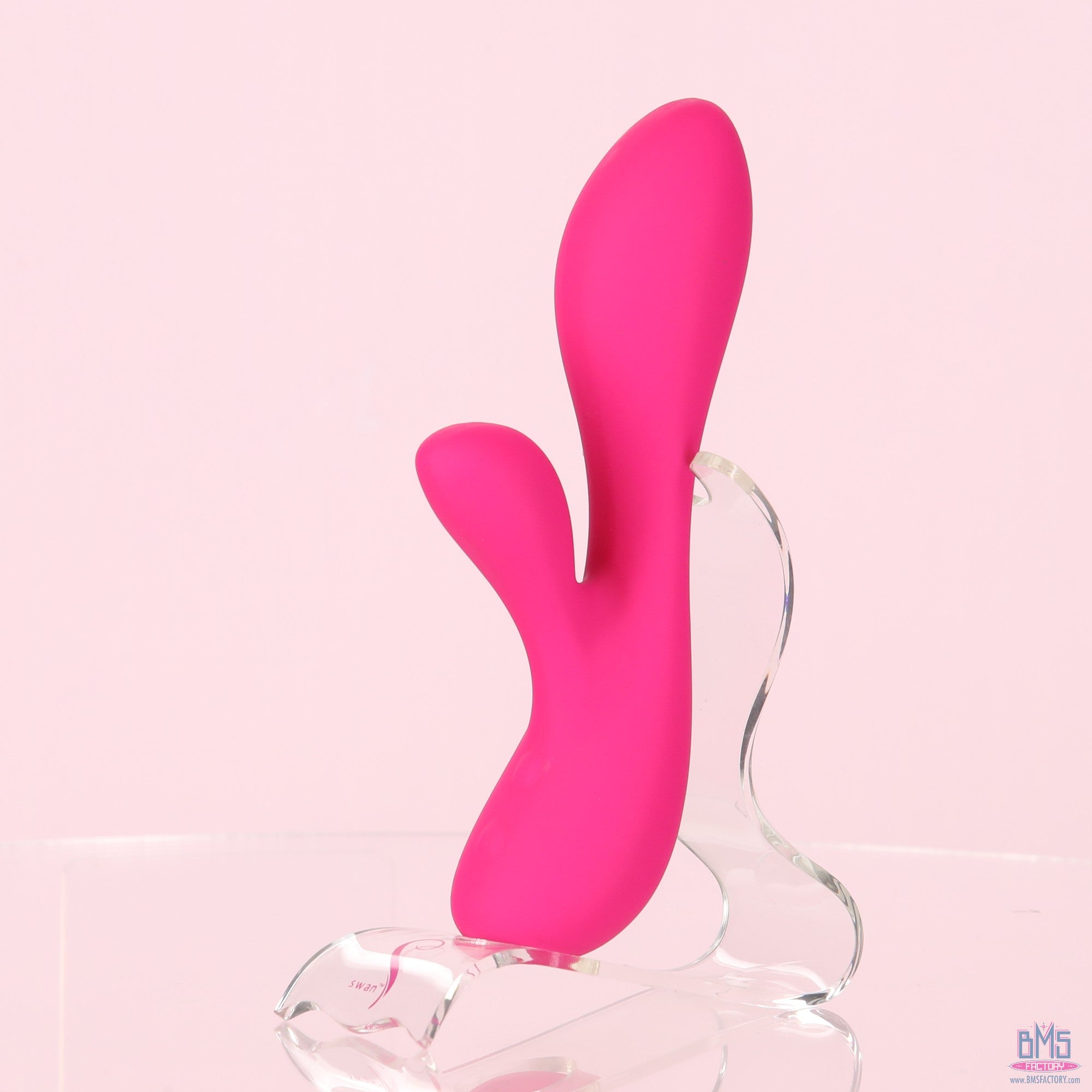 The Silver Swan - Swan Vibes