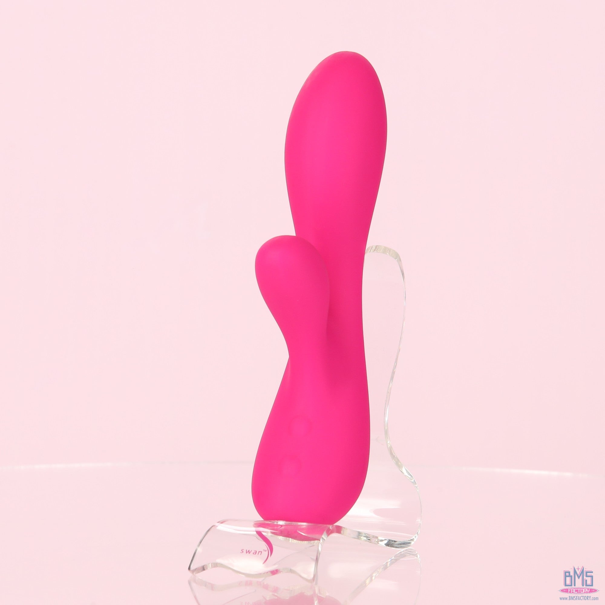 The Silver Swan - Swan Vibes