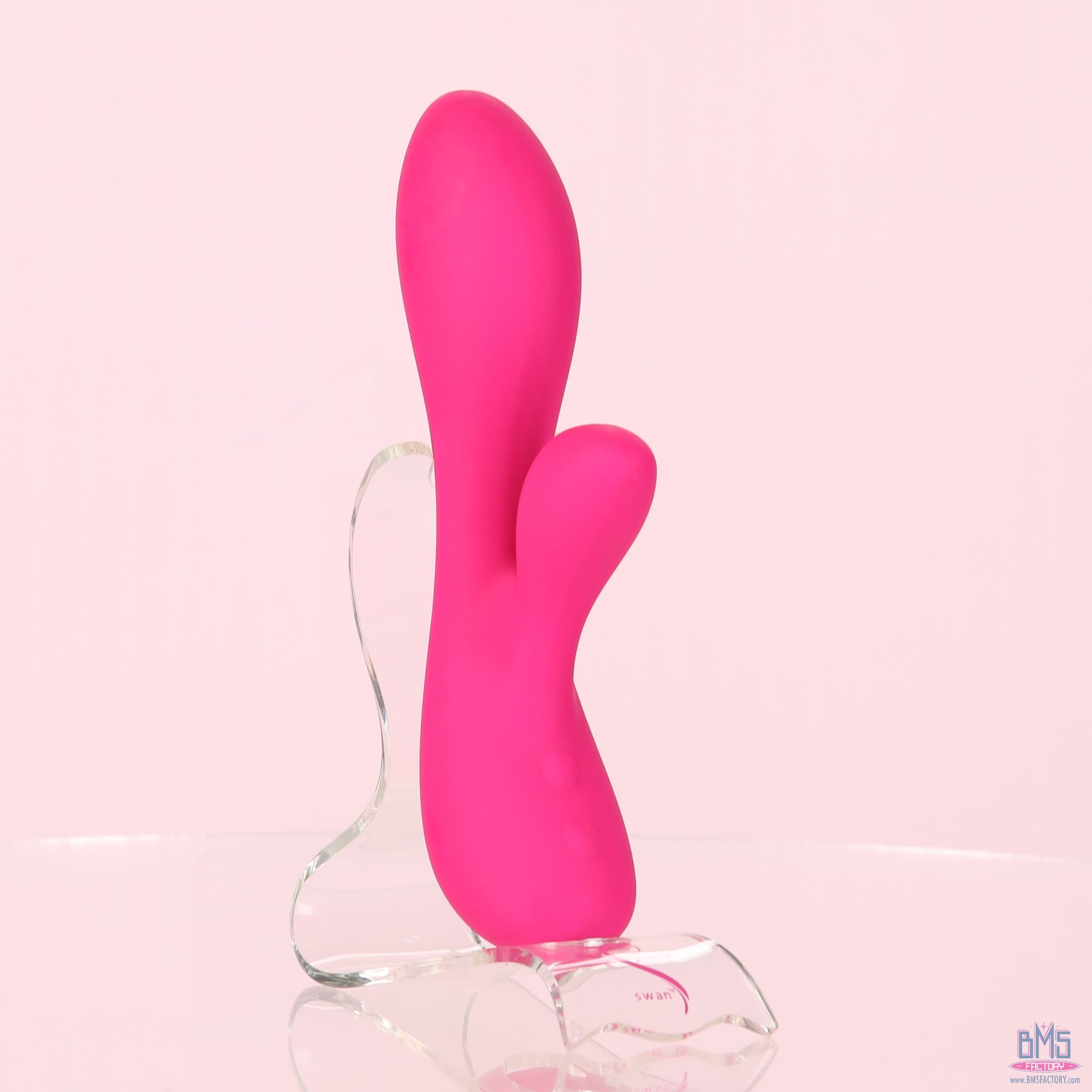 The Silver Swan - Swan Vibes