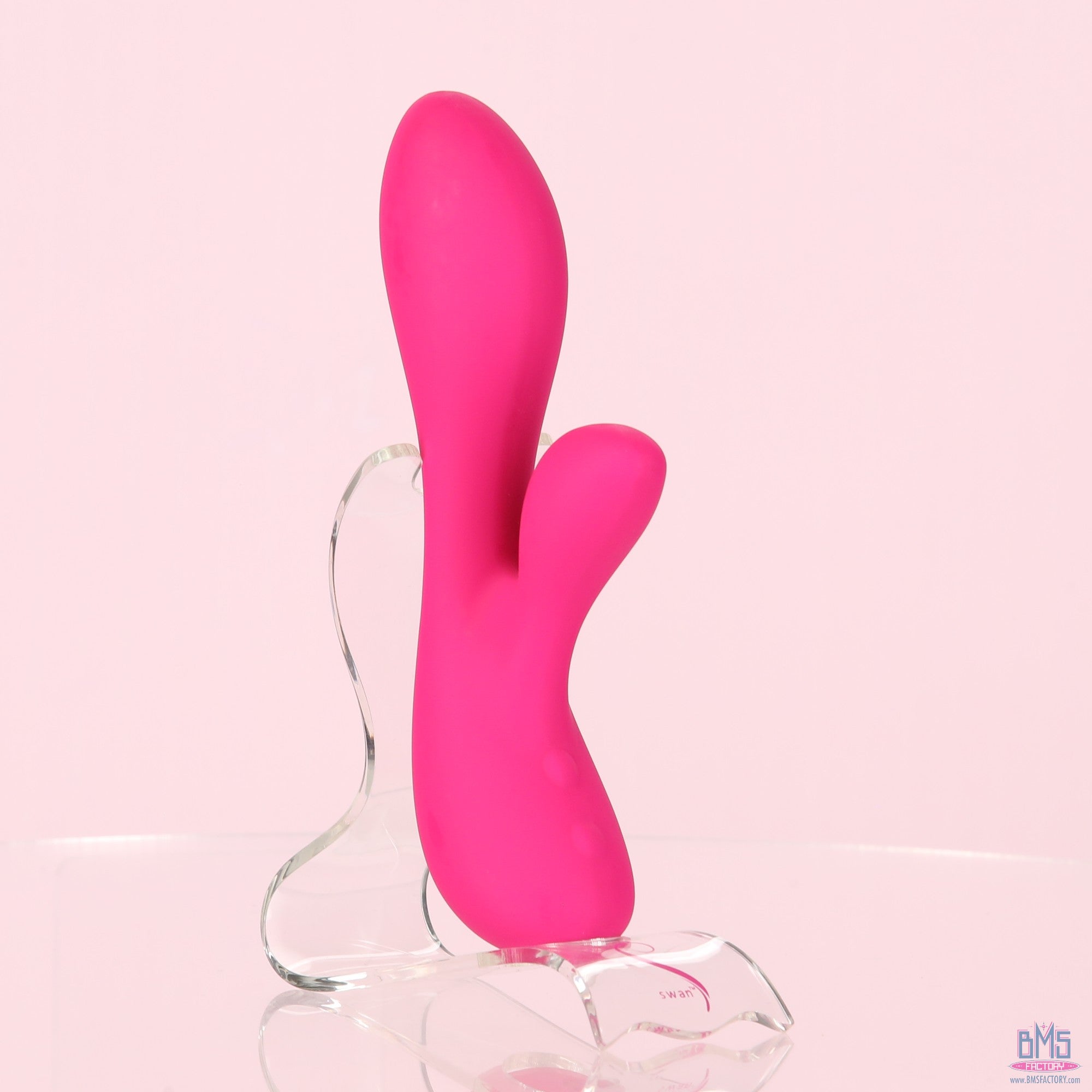 The Silver Swan - Swan Vibes