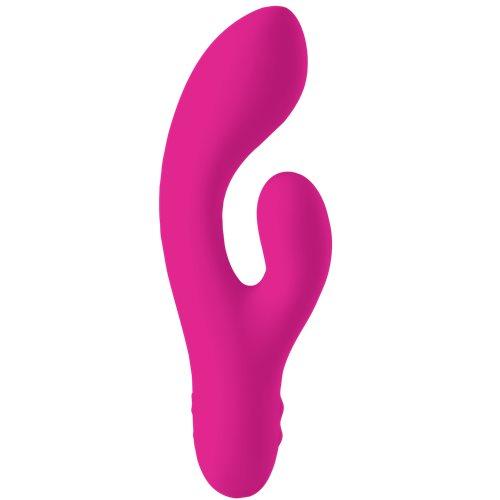 Swan Whooper Swan - Swan Vibes