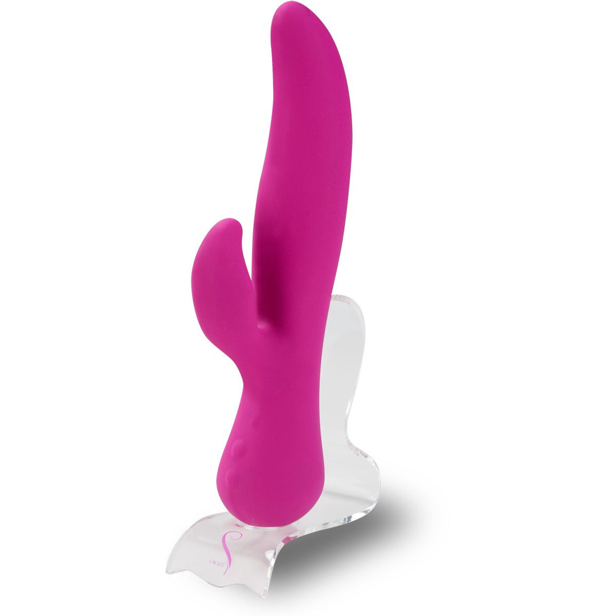 Swan The Royal Swan - Swan Vibes