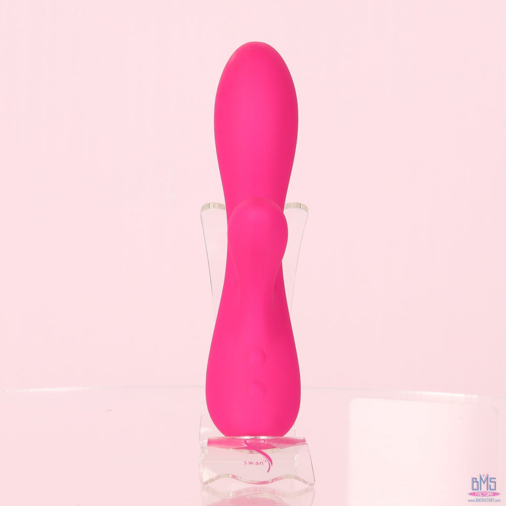 The Silver Swan - Swan Vibes