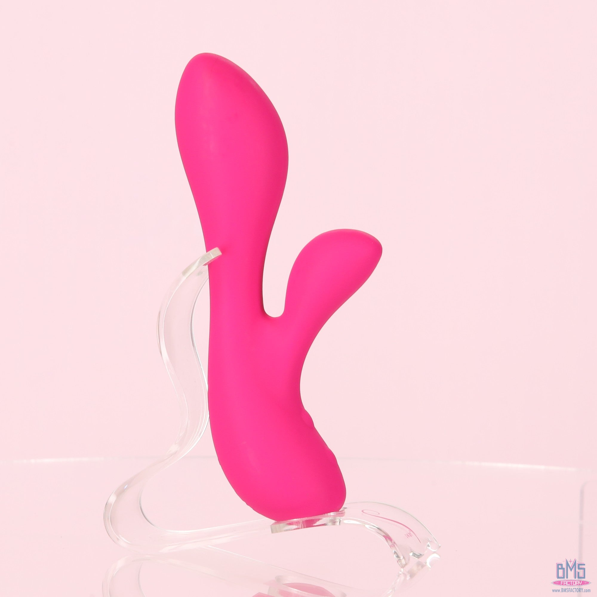 The Silver Swan - Swan Vibes