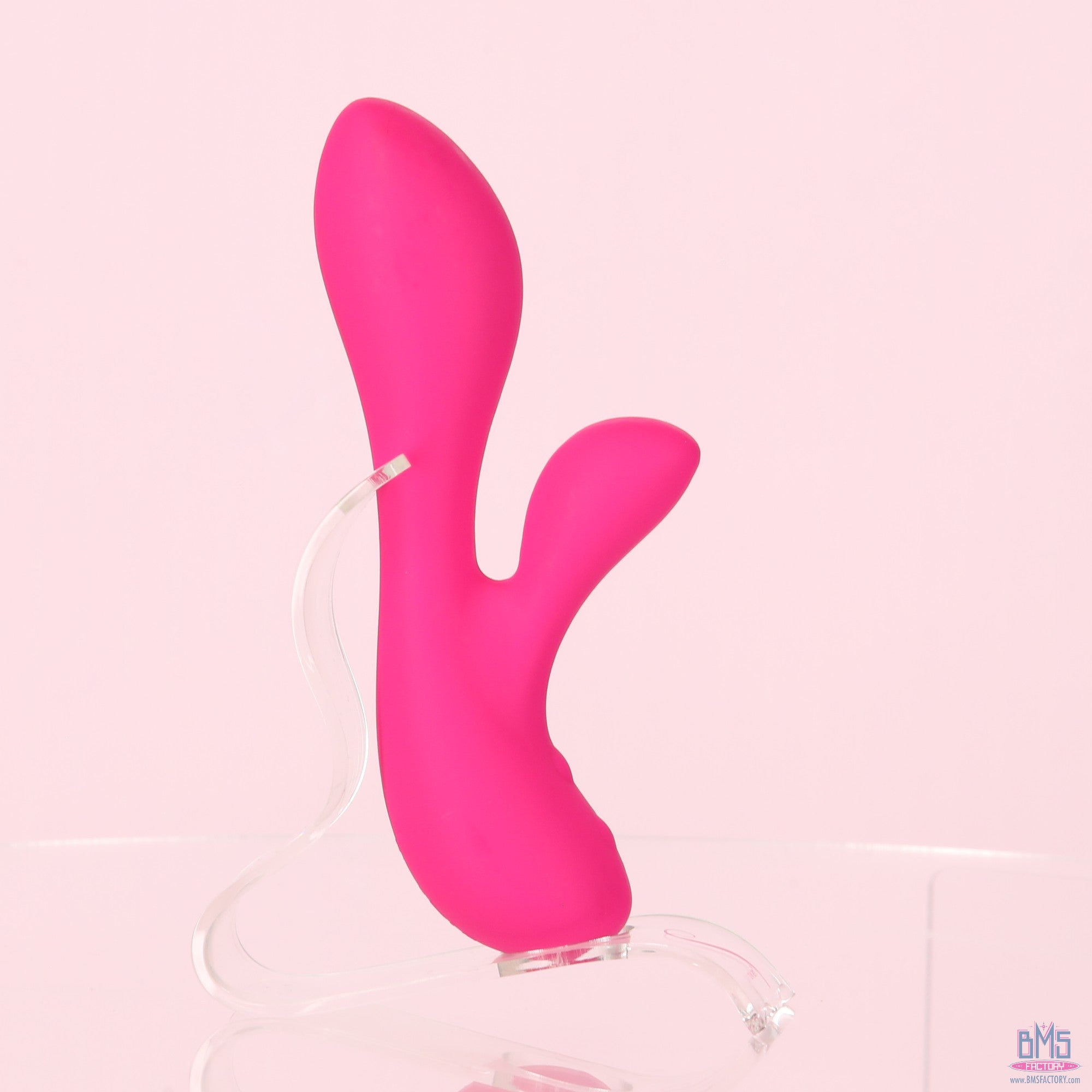 The Silver Swan - Swan Vibes