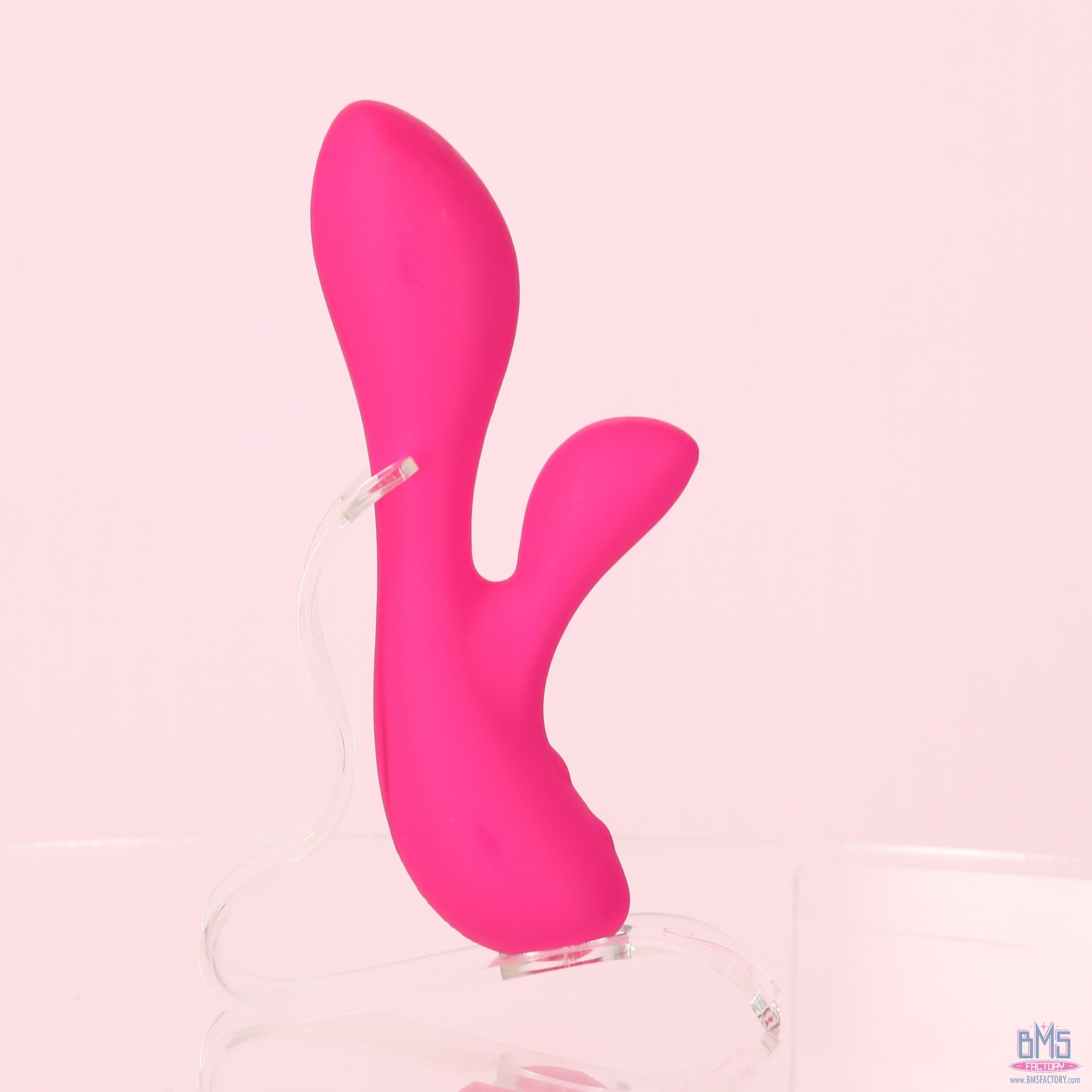 The Silver Swan - Swan Vibes