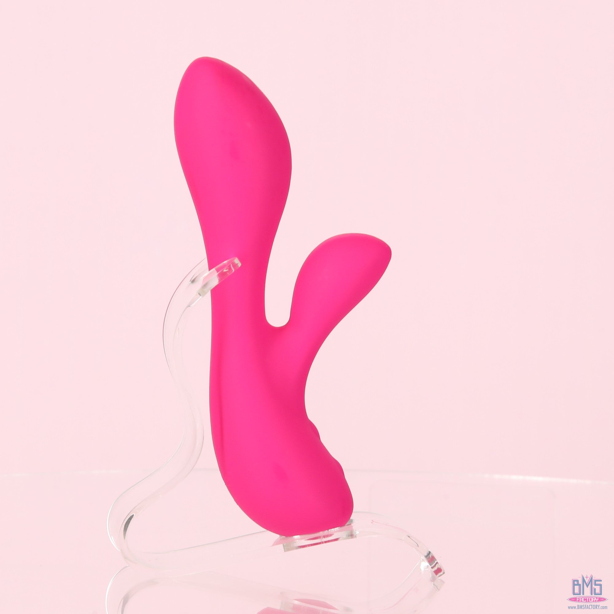 The Silver Swan - Swan Vibes