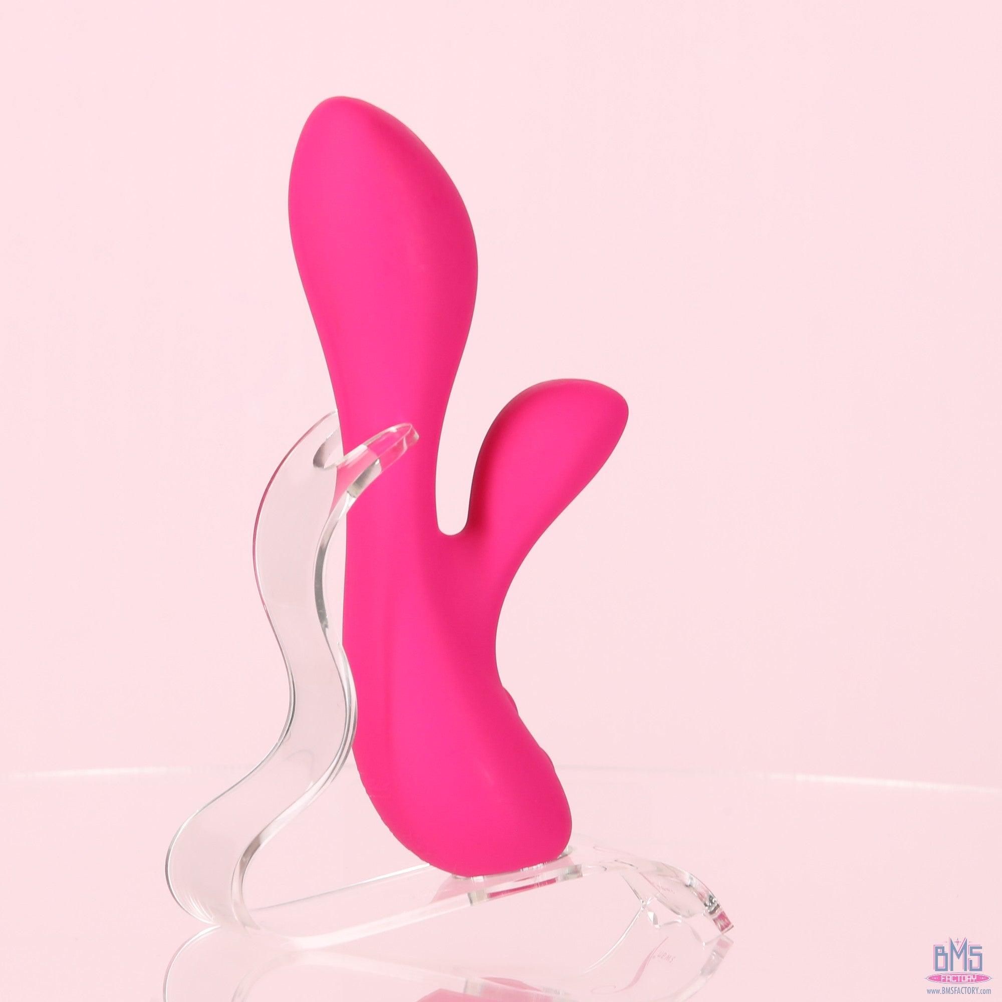 The Silver Swan - Swan Vibes