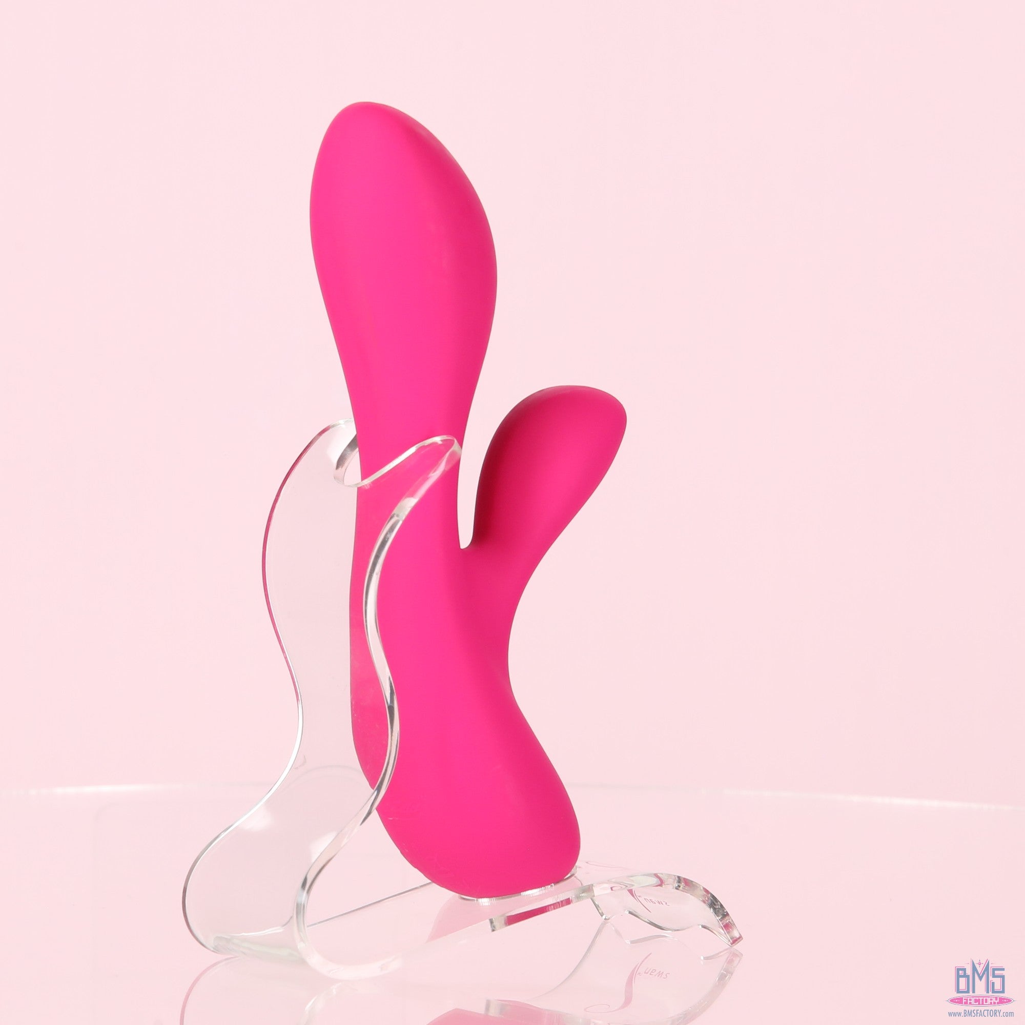 The Silver Swan - Swan Vibes