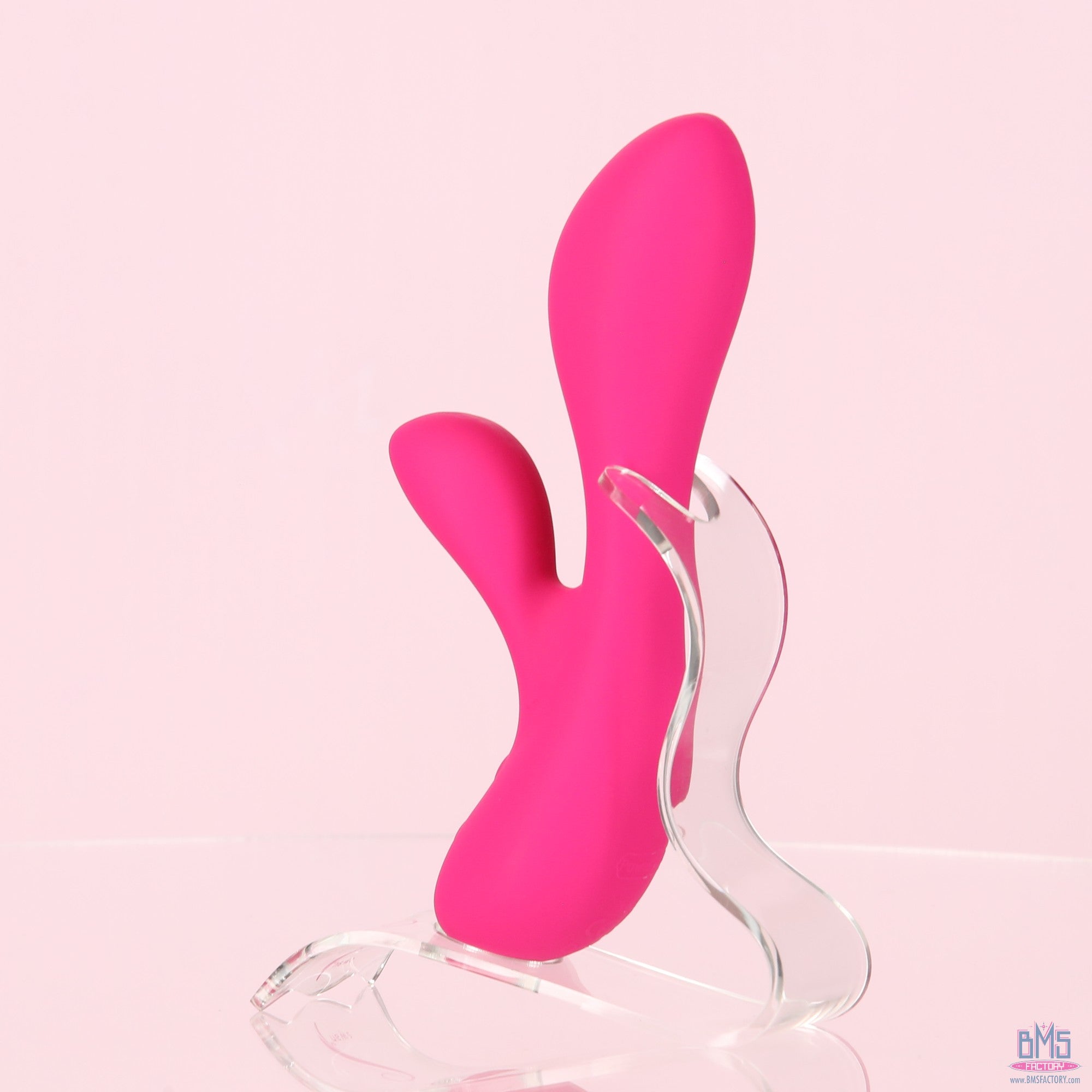 The Silver Swan - Swan Vibes