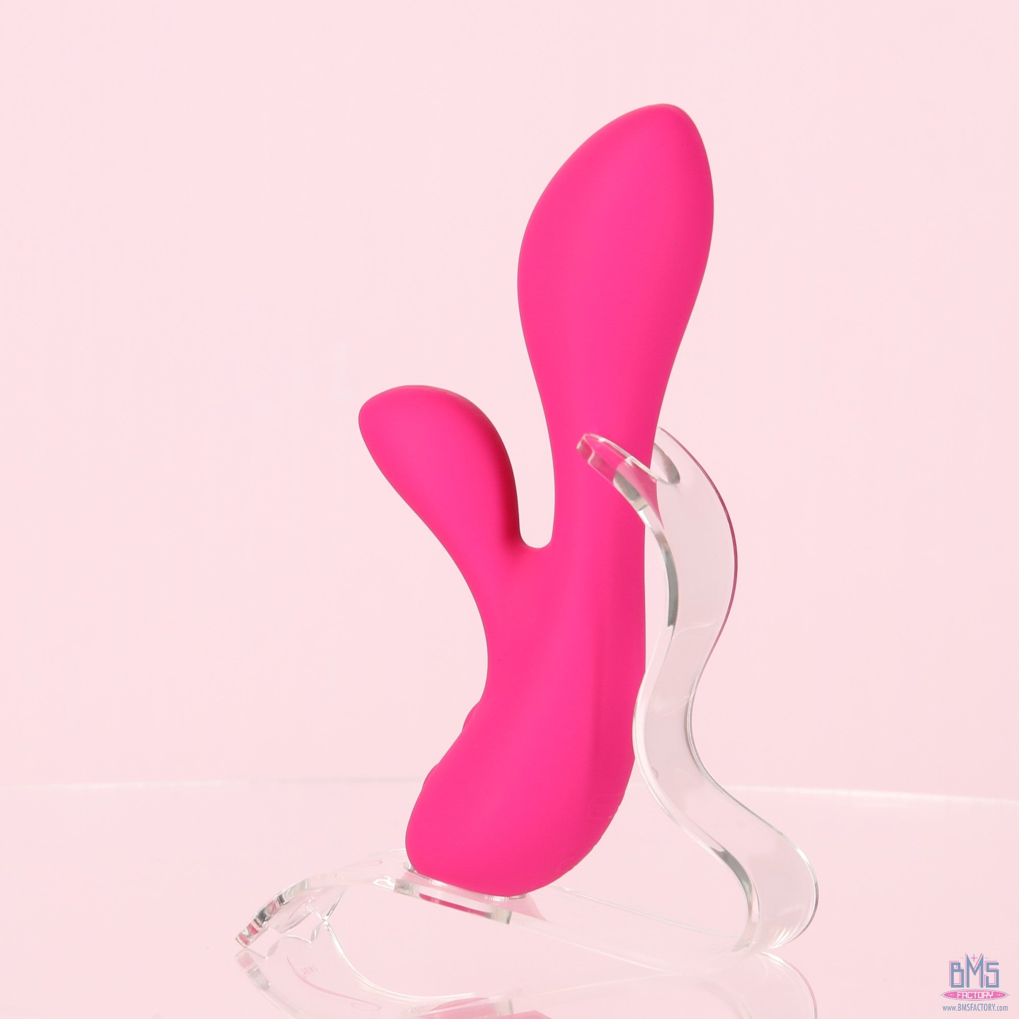 The Silver Swan - Swan Vibes