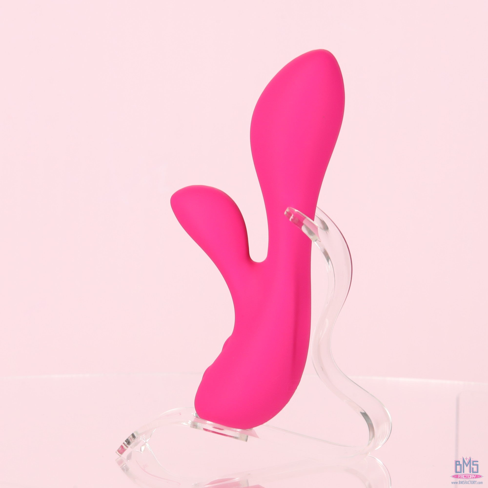 The Silver Swan - Swan Vibes