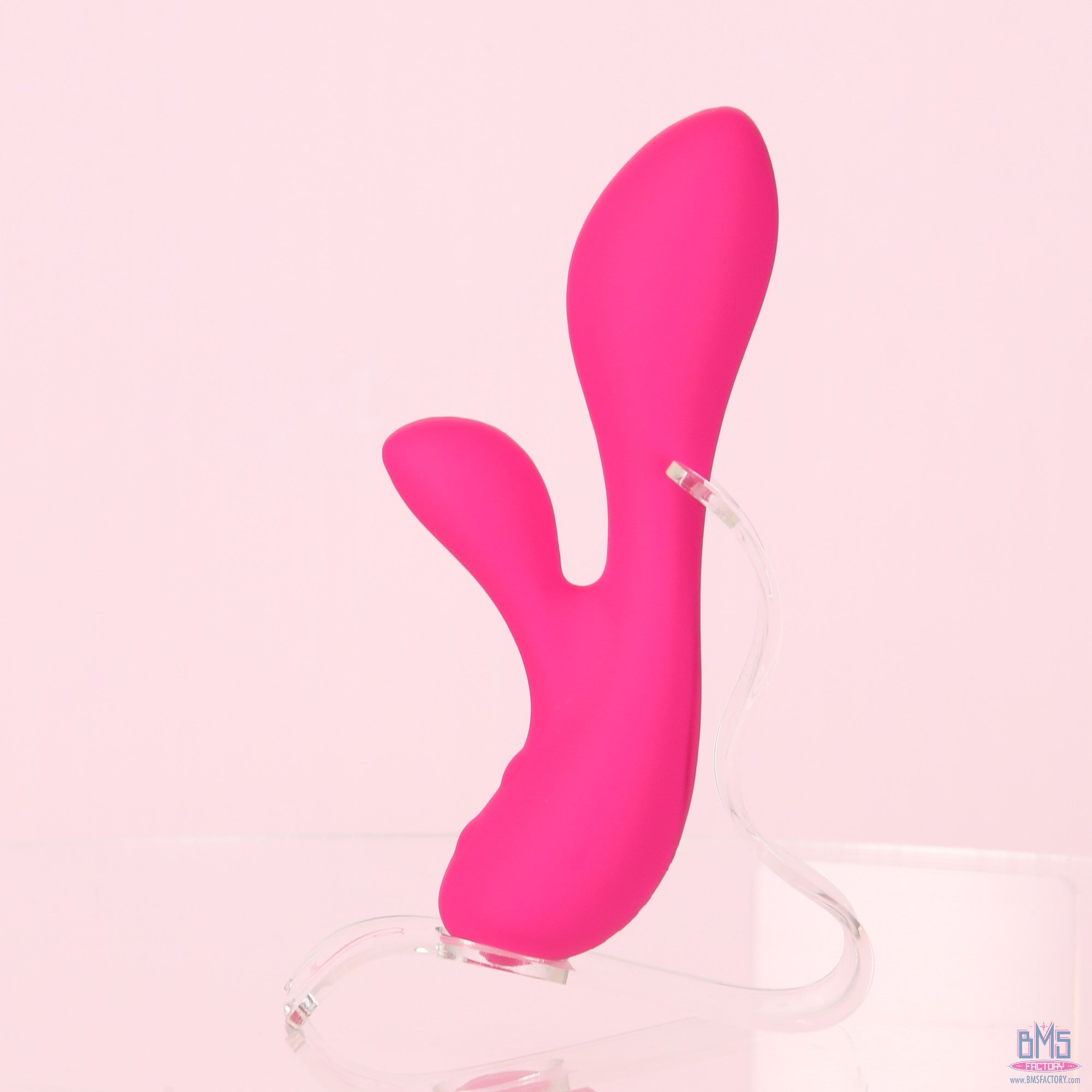 The Silver Swan - Swan Vibes