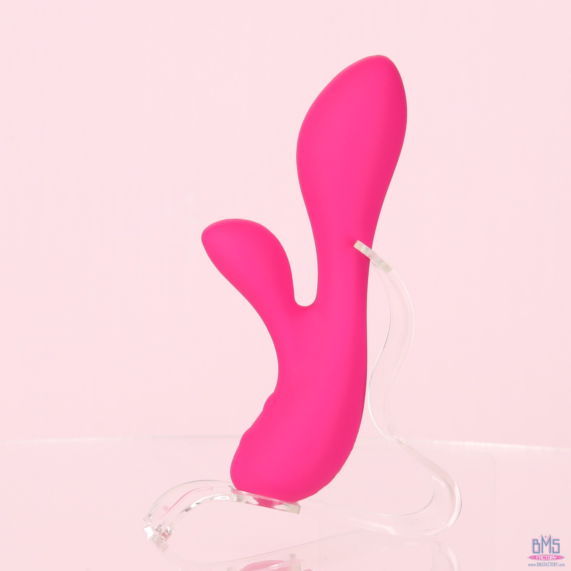 The Silver Swan - Swan Vibes