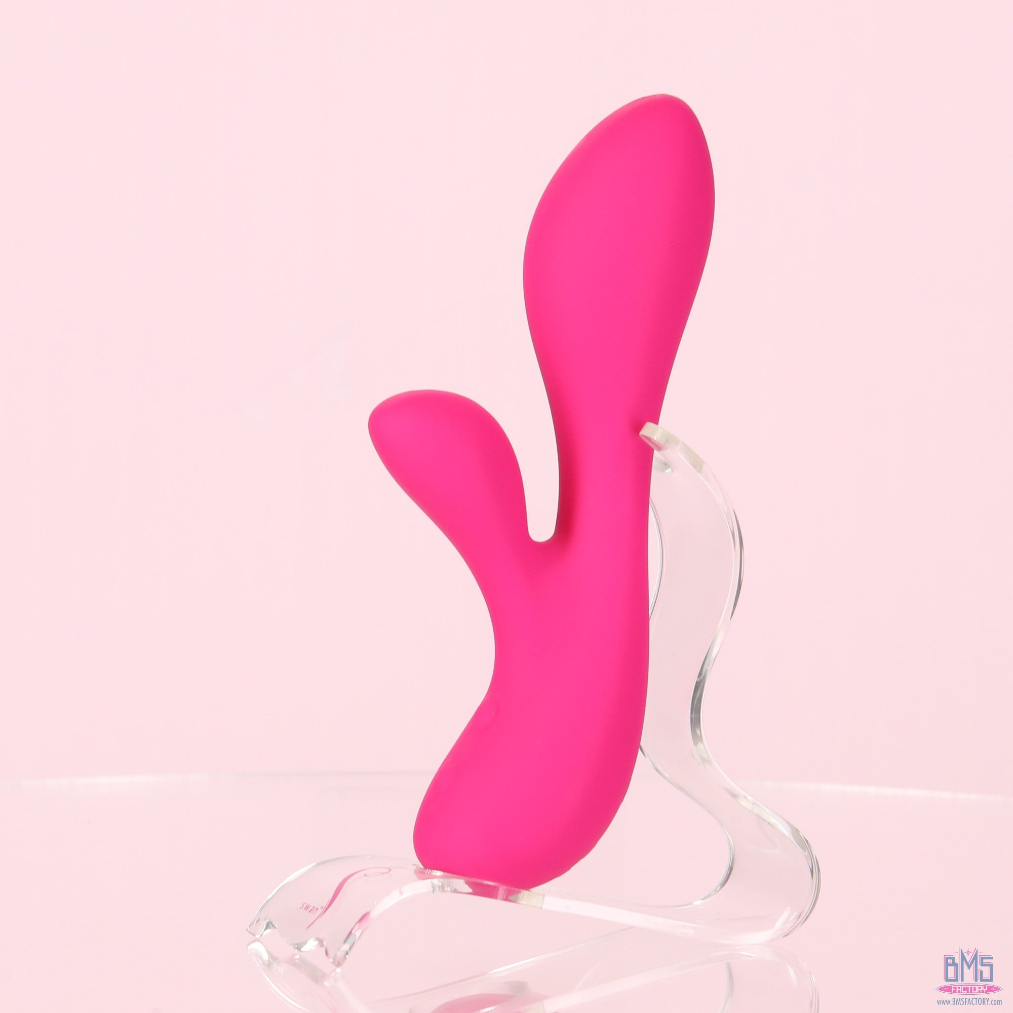 The Silver Swan - Swan Vibes