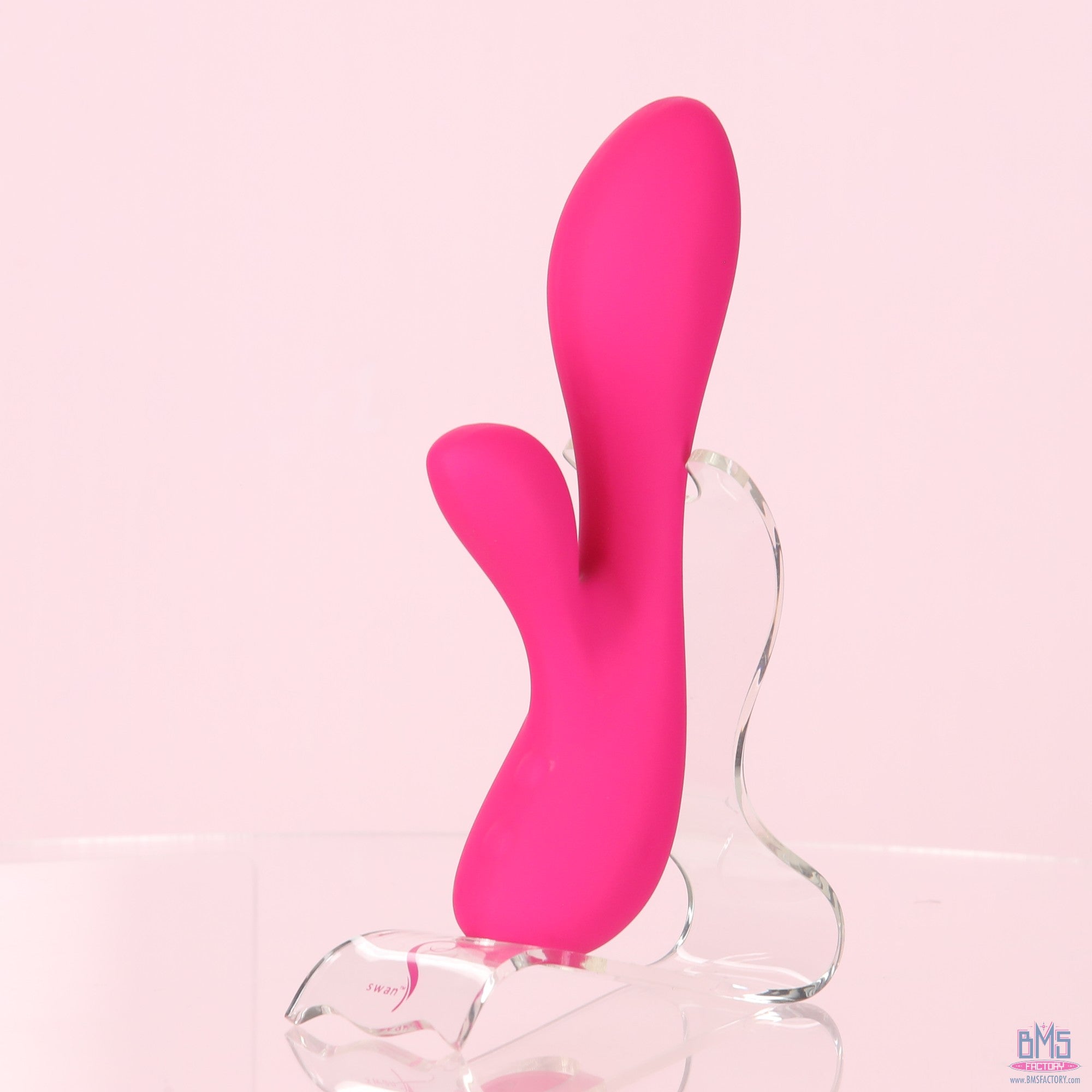 The Silver Swan - Swan Vibes