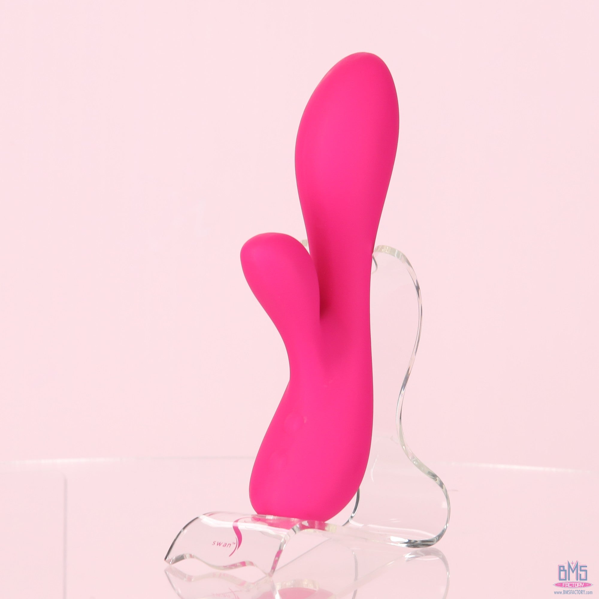 The Silver Swan - Swan Vibes