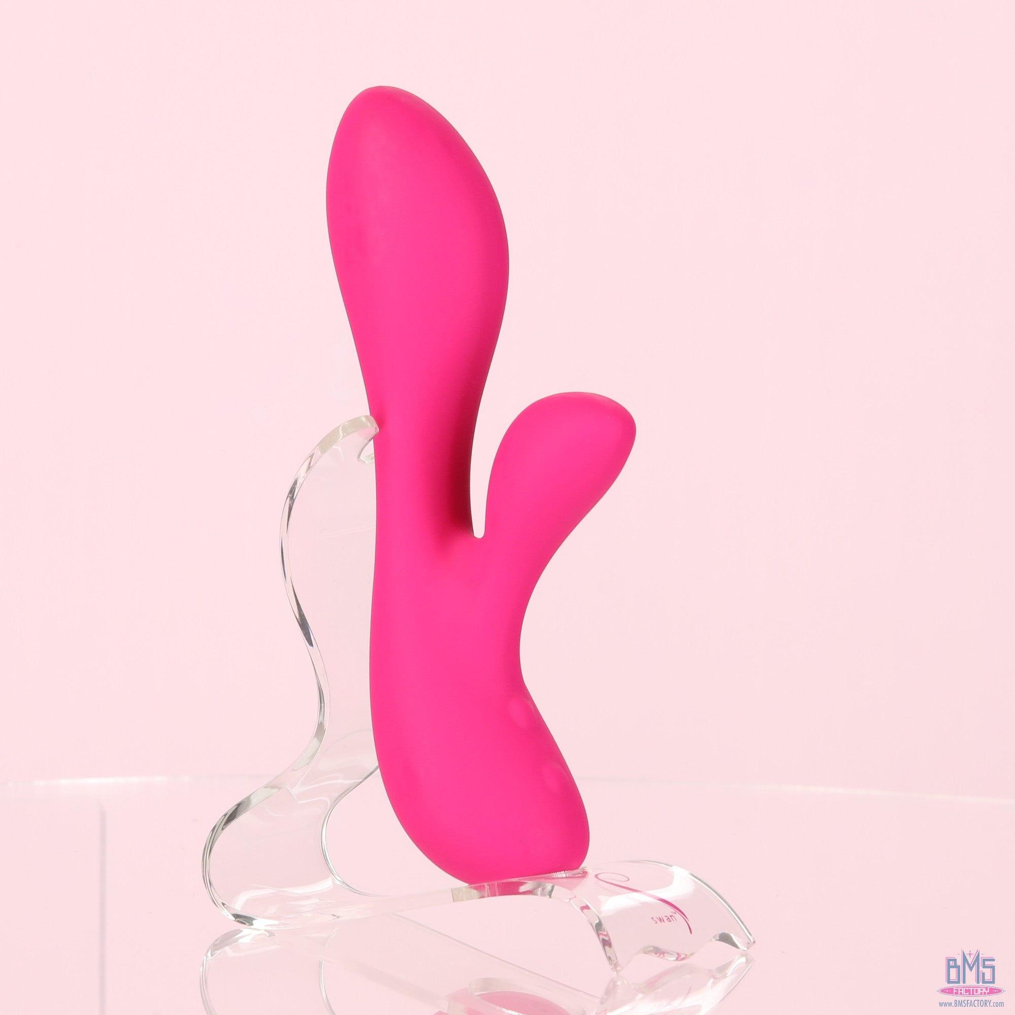 The Silver Swan - Swan Vibes