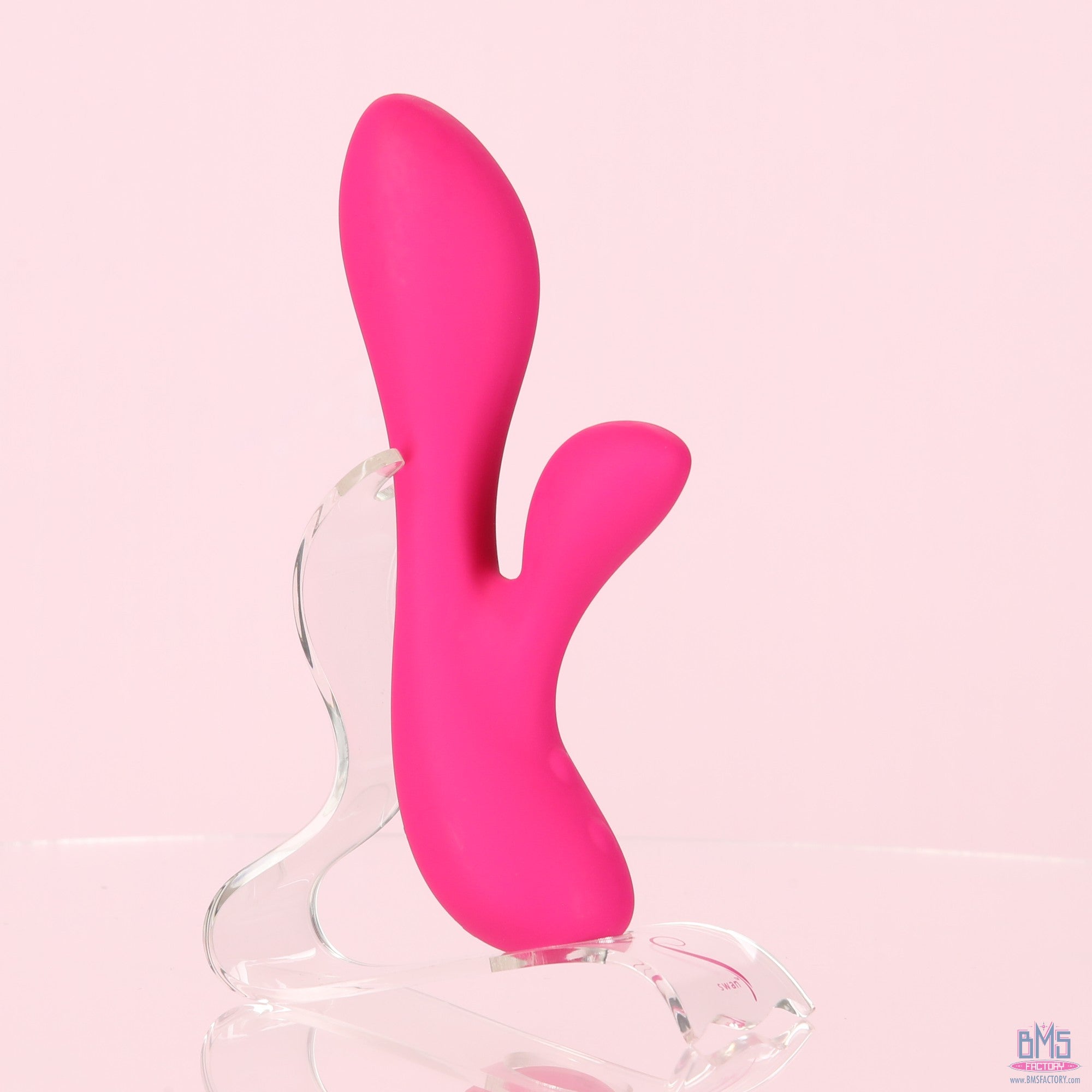 The Silver Swan - Swan Vibes