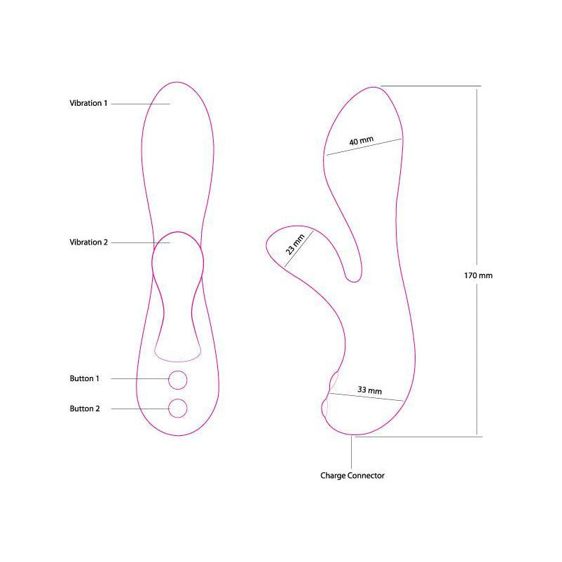 The Silver Swan - Swan Vibes