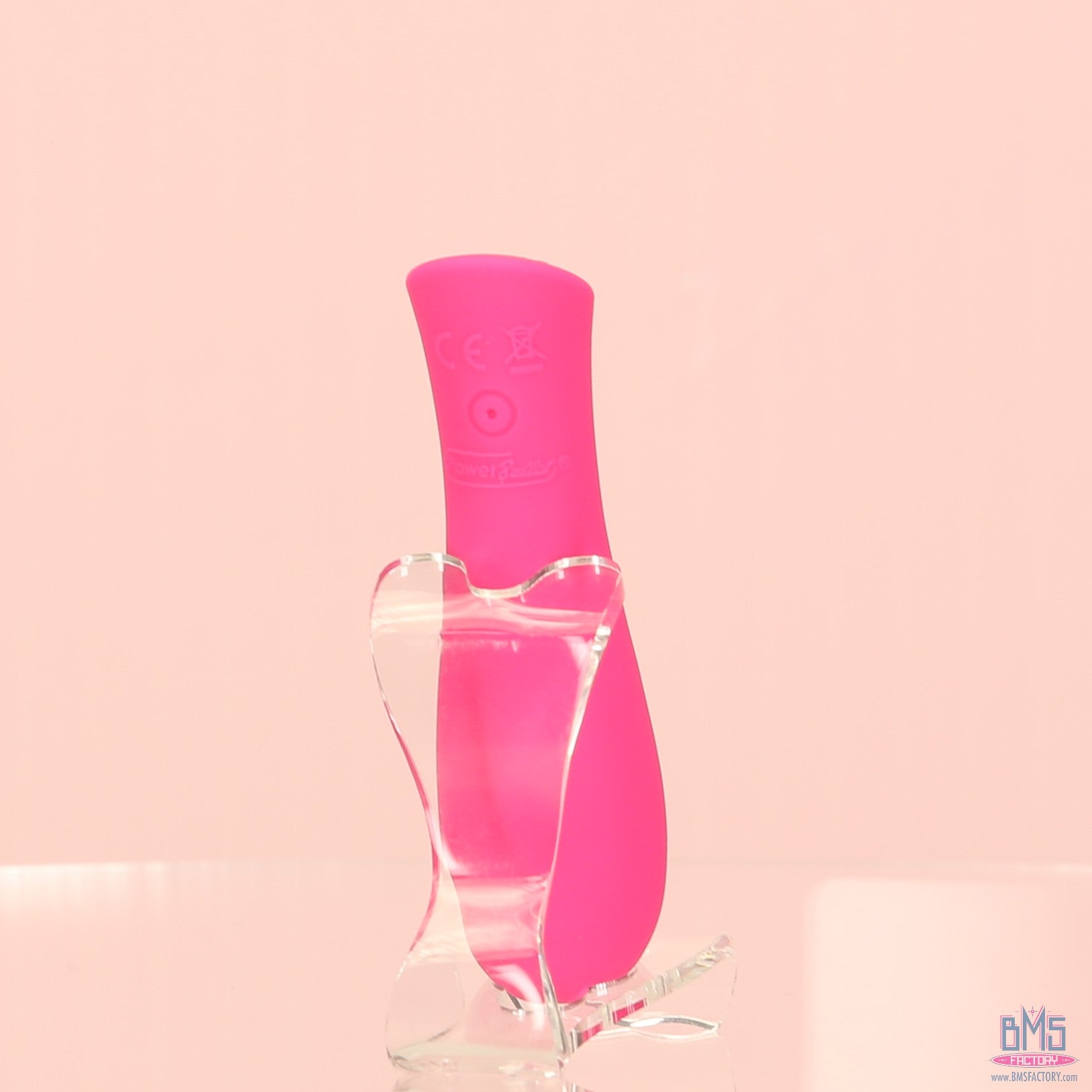 The Mini Swan Rose - Swan Vibes