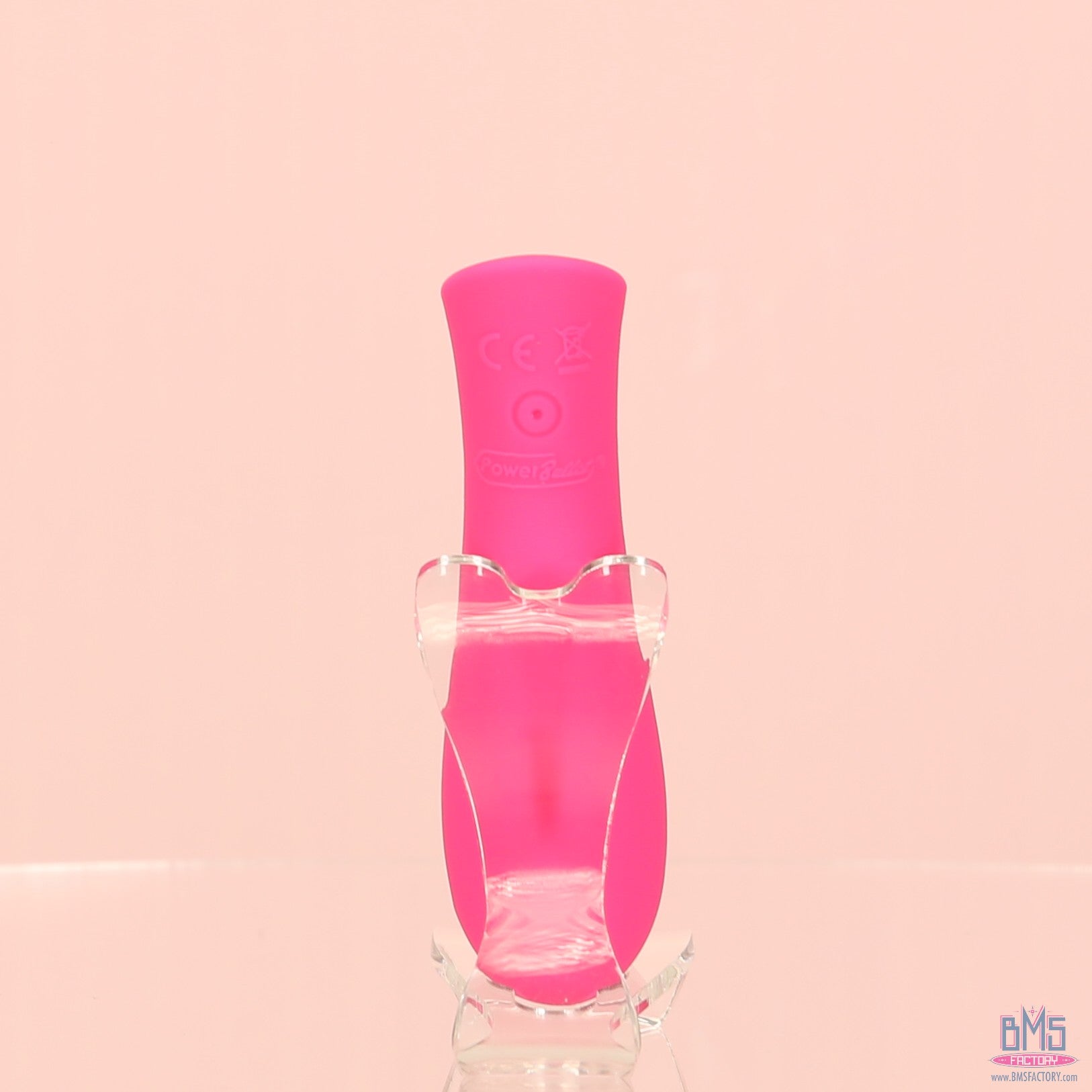 The Mini Swan Rose - Swan Vibes