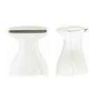 Ultimate Personal Shaver - Women - Swan Vibes
