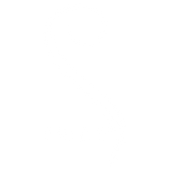 Swan Vibes